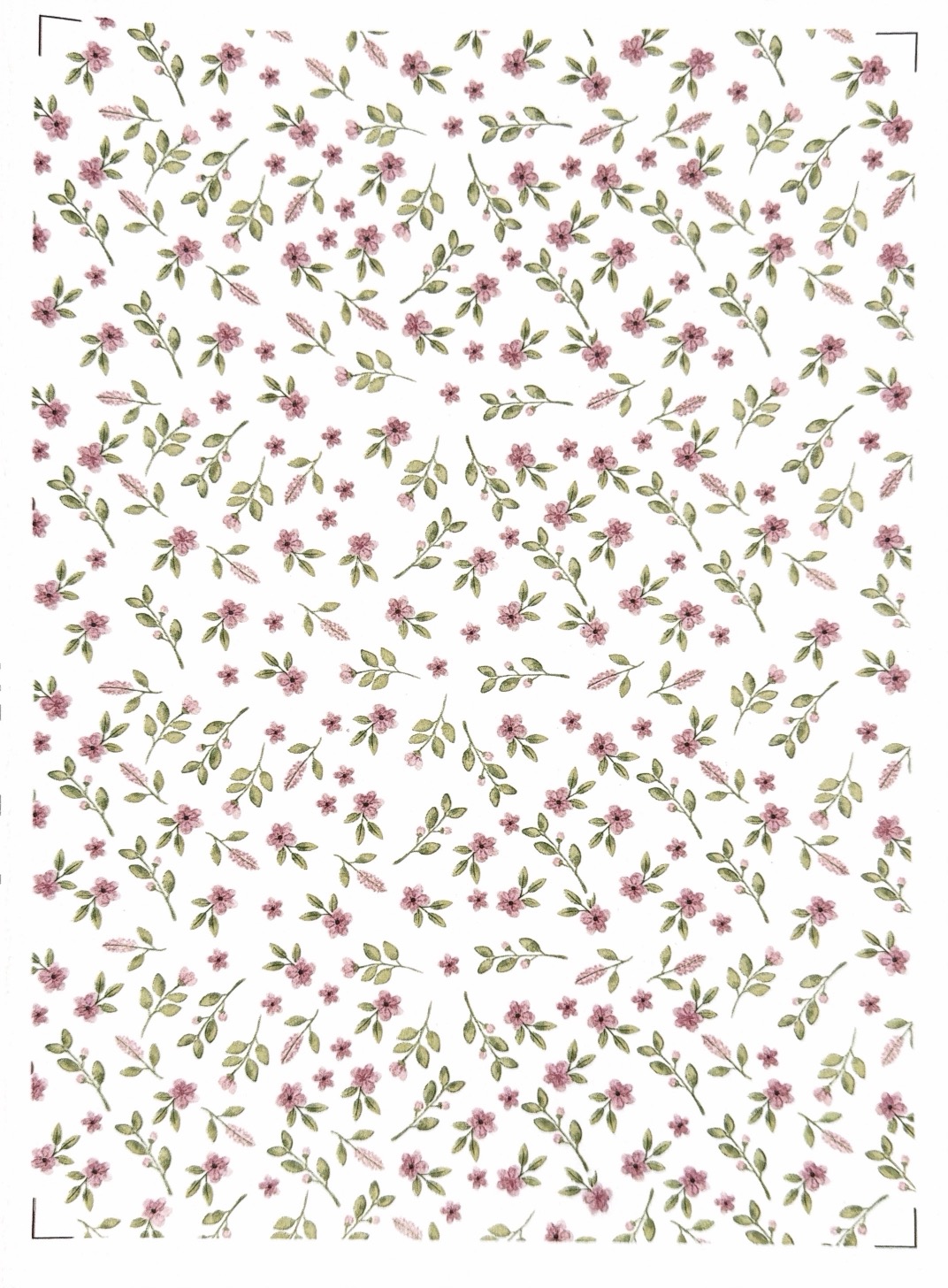 15574422117-dp-floral82.jpg