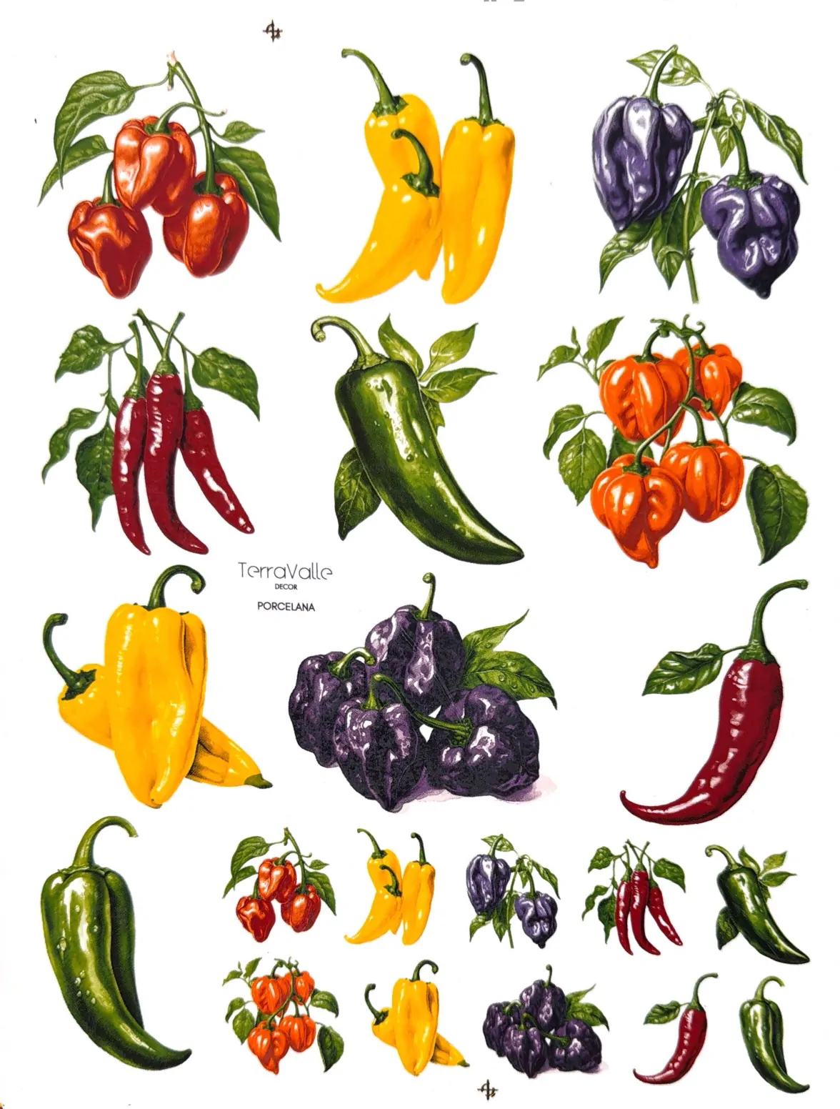 15623048456-dp-vegetais4.jpg
